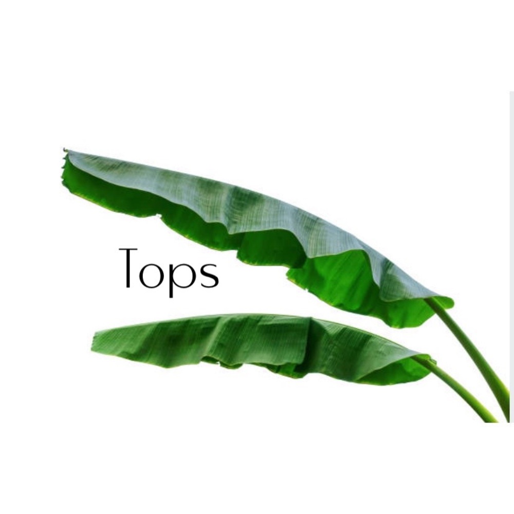🌿